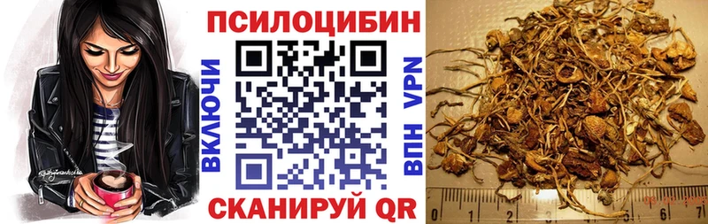 блэк спрут ссылки  Верхняя Пышма  Галлюциногенные грибы мицелий 