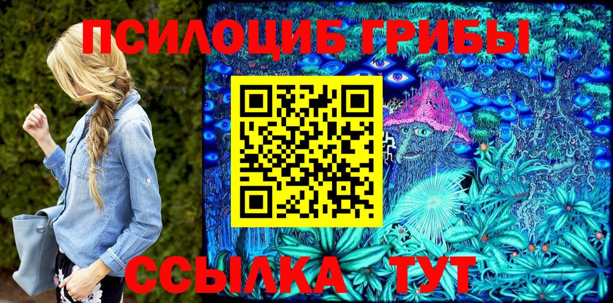 Верхняя Пышма  Галлюциногенные грибы Cubensis  Вход с VPN 
