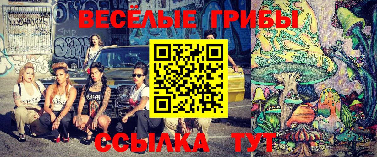 Псилоцибиновые грибы Cubensis  Галлюциногенные грибы мухоморы  Верхняя Пышма 